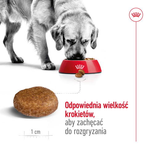 ROYAL CANIN Maxi Adult 5+ - suché krmivo pro psy - 15 kg - Fotogalerie 9