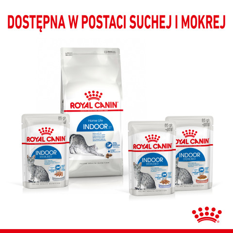 ROYAL CANIN FHN Indoor jelly - vlhké krmivo pro dospělé kočky - 12x85g - Fotogalerie 3