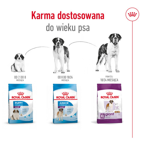 ROYAL CANIN Giant Adult - suché krmivo pro psy - 15 kg - Fotogalerie 8