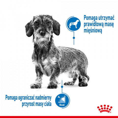 Royal Canin CCN MINI LIGHT WEIGHT CARE - suché krmivo pro dospělé psy - 3kg - Fotogalerie 9