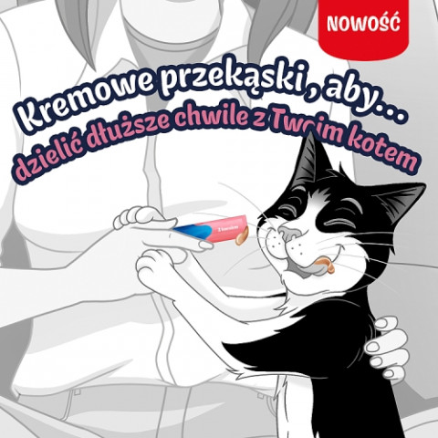 PURINA Felix Deli Moments Salmon - pamlsek pro kočky - 4x10g - Fotogalerie 8