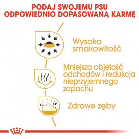 ROYAL CANIN BHN Čivava Adult suché krmivo pro psy - 1,5 kg - Fotogalerie 5