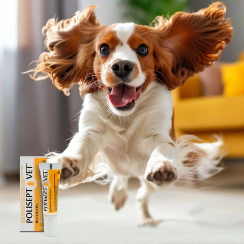 JM SANTE Polisept Vet Recovery - energetický přípravek pro psy a kočky – 12 ml - Fotogalerie 2