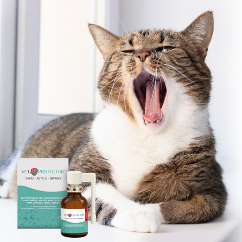 JM SANTE Vet Protector Ústní dutina sprej – tekutina do ústní dutiny pro psy a kočky - 30 ml - Fotogalerie 2