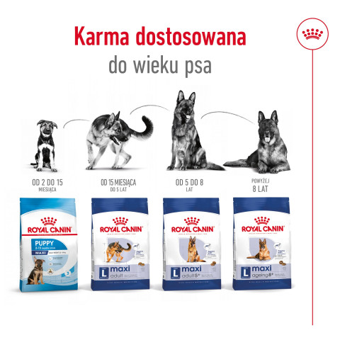 ROYAL CANIN Maxi Adult - suché krmivo pro psy - 15 kg - Fotogalerie 6