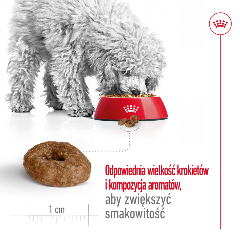 ROYAL CANIN Mini Ageing Adult +12 - suché krmivo pro psy - 3,5 kg - Fotogalerie 6