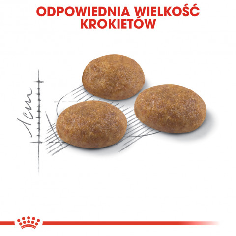 Royal Canin Active Life Outdoor suché krmivo pro kočky 4 kg Dospělý jedinec Drůbež - Fotogalerie 8