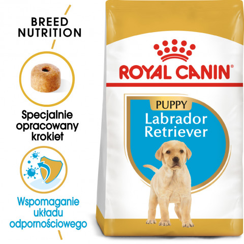 ROYAL CANIN SHN Breed Labrador Junior suché krmivo pro psy - 12 kg. - Fotogalerie 9