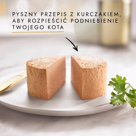Purina Nestle Gourmet Gold - losos a kuře -85 g mokré krmivo pro kočky - Fotogalerie 11