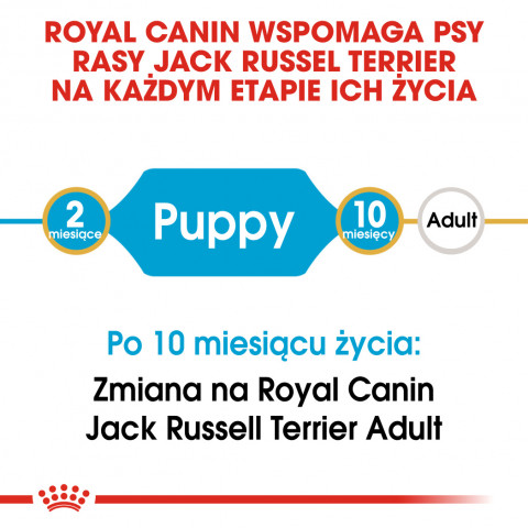 Royal Canin SHN Breed Jack Russell Junior - Suché krmivo pro psy Drůbež, Rýže - 3 kg - Fotogalerie 2