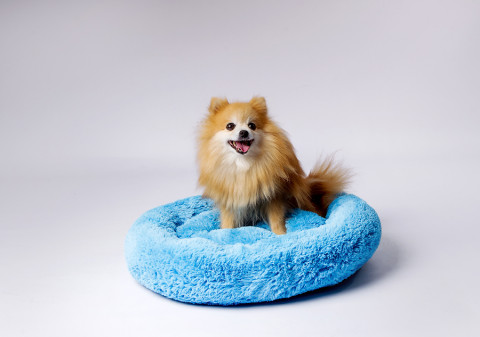 GO GIFT Shaggy blue M - pelíšek pro domácí mazlíčky - 57 x 57 x 10 cm - Fotogalerie 5