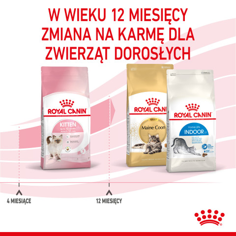 ROYAL CANIN Kitten - suché krmivo pro kočky - 2 kg - Fotogalerie 3