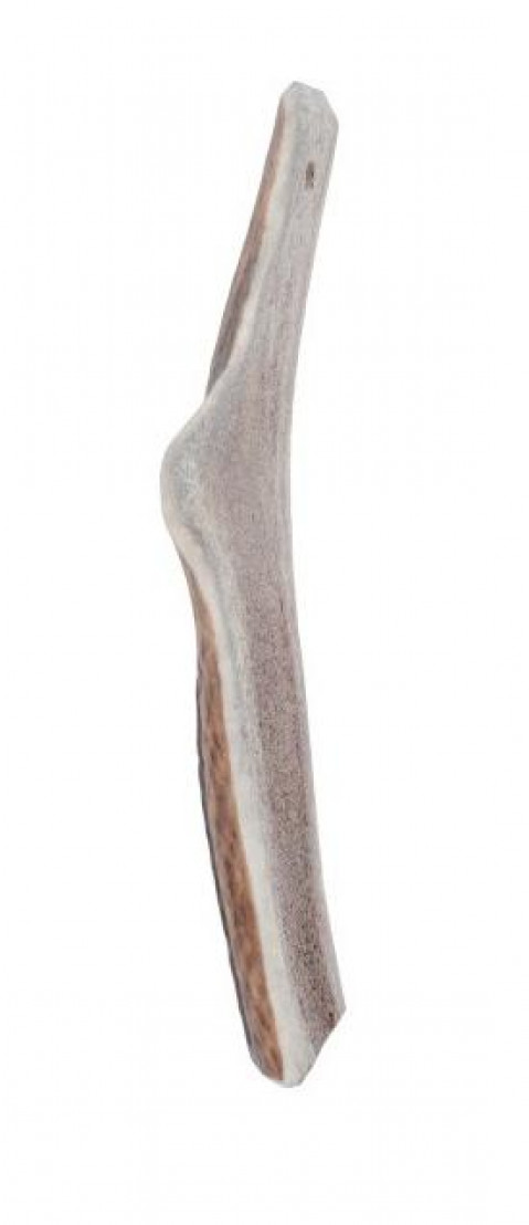 ZOLUX Deer antlers Easy >10kg - žvýkačka pro psa - 70g - Fotogalerie 2