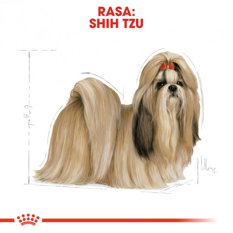 Royal Canin BHN Shih Tzu Adult - suché krmivo pro dospělé psy - 7,5 kg - Fotogalerie 7