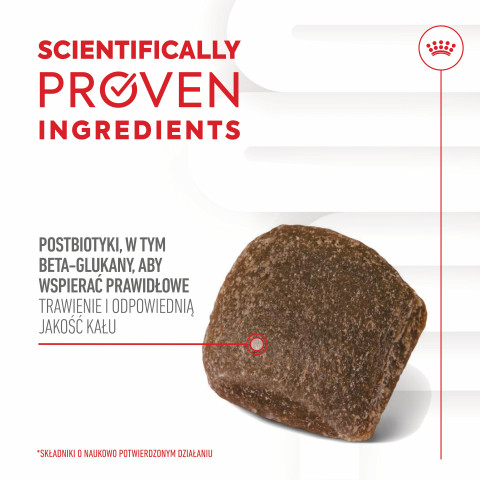 ROYAL CANIN Supplements Dog Digestion Adult - vitamíny pro psa - 160g - Fotogalerie 7