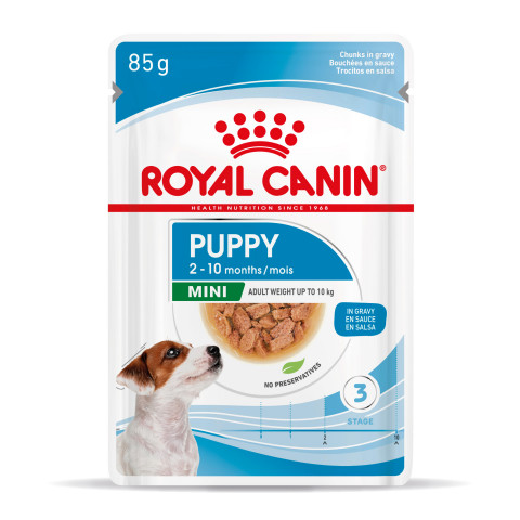 ROYAL CANIN SHN Mini Puppy in sauce - mokré krmivo pro štěňata - 12X85g - Fotogalerie 9
