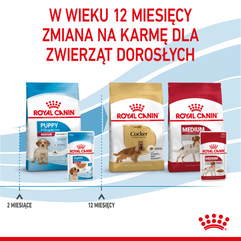 ROYAL CANIN SHN Medium Puppy in sauce - mokré krmivo pro štěňata - 10x140g - Fotogalerie 3