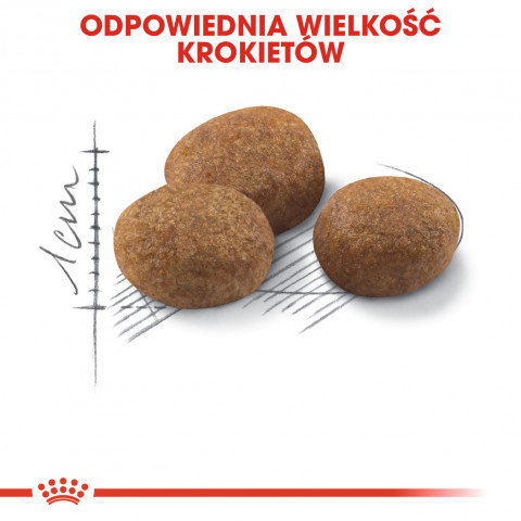 ROYAL CANIN Sterilised 7+ - suché krmivo pro kočky - 10 kg - Fotogalerie 9