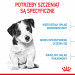 ROYAL CANIN Mini Puppy SHN - suché krmivo pro psy - 2 kg - Fotogalerie 8