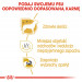 ROYAL CANIN Maltese Adult - suché krmivo pro psy - 1,5 kg - Fotogalerie 4