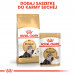 Royal Canin Persian suché krmivo pro kočky 4 kg Dospělý jedinec Kukuřice, Drůbež - Fotogalerie 3
