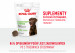 ROYAL CANIN Supplements Dog Digestion Adult - vitamíny pro psa - 160g - Fotogalerie 11