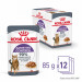 ROYAL CANIN Appetit Control kousky v omáčce - mokré krmivo pro kočky - 12 x 85g - Fotogalerie 13