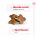ROYAL CANIN Mini Adult +8 - suché krmivo pro psy - 2 kg - Fotogalerie 6