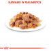 Royal Canin Sterilised 85 g - Fotogalerie 4