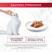 GOURMET Mon Petit Fish Mix - mokré krmivo pro kočky - 6 x 50 g - Fotogalerie 7