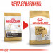 ROYAL CANIN Jack Russell Adult suché krmivo pro psy - 1,5 kg - Fotogalerie 2