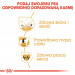 ROYAL CANIN Adult Cocker - suché krmivo pro psy - 12 kg - Fotogalerie 4