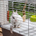 FERPLAST Rabbit 100 - Klec - Fotogalerie 7