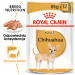 ROYAL CANIN Chihuahua - balení 12x85g - Fotogalerie 10