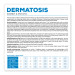 VET EXPERT Veterinary Diet Dermatosis Dog Králík & Brambor - suché krmivo pro psy - 2 kg - Fotogalerie 2