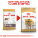 ROYAL CANIN Bulldog Adult - suché krmivo pro psy - 12 kg - Fotogalerie 2