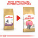 Royal Canin British Shorthair Kitten suché krmivo pro kočky 2 kg Kotě Drůbež, Rýže, Zeleninová - Fotogalerie 4