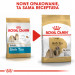 Royal Canin BHN Shih Tzu Adult - suché krmivo pro dospělé psy - 7,5 kg - Fotogalerie 3