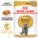 ROYAL CANIN British Shorthair balení 12x85g - Fotogalerie 8