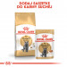 ROYAL CANIN British Shorthair balení 12x85g - Fotogalerie 2