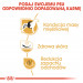ROYAL CANIN French Bulldog Adult - suché krmivo pro psy - 3 kg - Fotogalerie 6