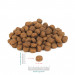 PERRO Veal with sweet potatoes Medium and large breeds - suché krmivo pro psy - 12kg - Fotogalerie 3