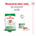 ROYAL CANIN Mini Ageing Adult +12 - suché krmivo pro psy - 3,5 kg - Fotogalerie 5