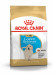 ROYAL CANIN Golden Retriever Puppy - suché krmivo pro psy - 12 kg - Fotogalerie 1