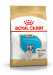 ROYAL CANIN French Bulldog Puppy - suché krmivo pro psy - 3 kg - Fotogalerie 1