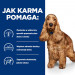 HILL's Prescription Diet Food Sensitivites z/d - suché krmivo pro psy - 10 kg - Fotogalerie 6