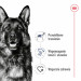 ROYAL CANIN Maxi Adult - suché krmivo pro psy - 15 kg - Fotogalerie 2