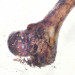 PETMEX Ham bone - žvýkačka pro psy - 1 kusů - Fotogalerie 3