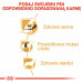 Krmivo Royal Canin SHN Breed Cavalier K C 1,5 kg - Fotogalerie 6