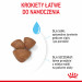 ROYAL CANIN SHN Mini Starter Mother & Babydog - suché krmivo pro psy - 4 kg - Fotogalerie 12